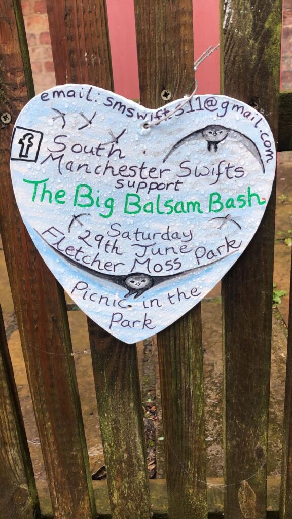 Bash That Balsam! Saturday June 29th - South Manchester Swifts