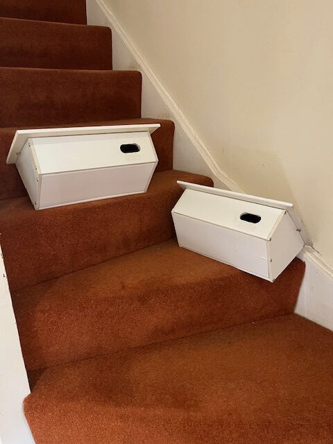 Two white swift boxes set on an indoor stair case