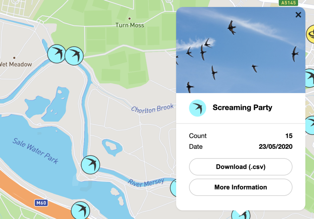 Screenshot of Swift Mapper showing a completed entry about a sighting of a screaming party over Sale Water Park.