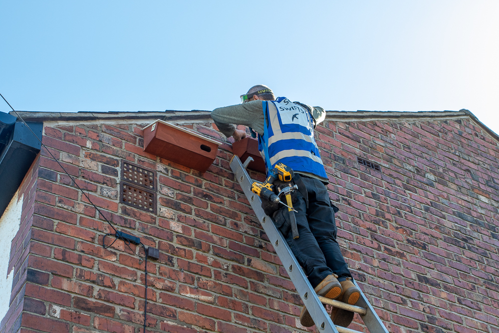 Installing swift boxes on Chorlton's Swift Street.